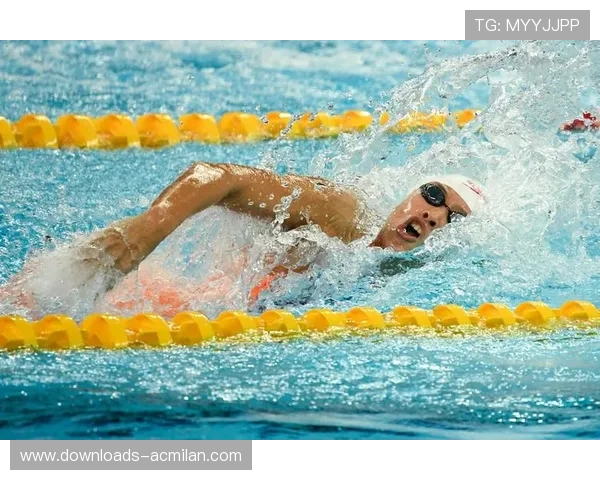 中国短池游泳世锦赛落地北京,带动冬季水上运动热度